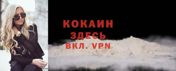 дживик Верхний Тагил
