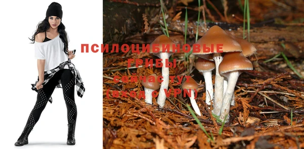 a pvp Верея